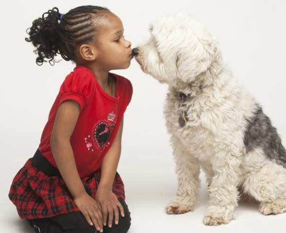 19-Smokey-aneres-lloyd51-e